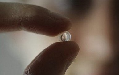 可粘贴镜头使手机变成放大率60倍的开云电子