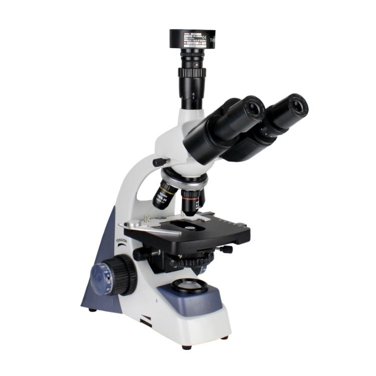 XSP500型系列生物开云电子